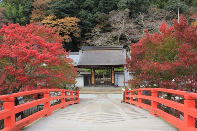 室生寺の紅葉 奈良県 の情報 ウォーカープラス