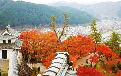 郡上八幡城の紅葉 岐阜県 の情報 ウォーカープラス