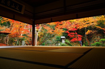 郡上八幡城の紅葉 岐阜県 の情報 ウォーカープラス