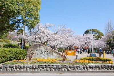 日岡山公園の桜 兵庫県 の情報 ウォーカープラス