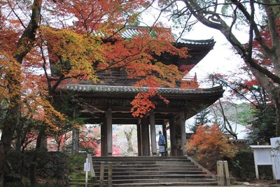 功山寺の紅葉 山口県 の情報 ウォーカープラス