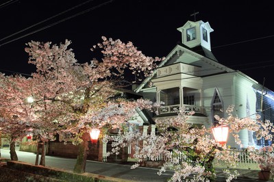 紺屋川美観地区の桜 岡山県 の情報 ウォーカープラス