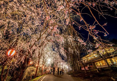 世羅 甲山ふれあいの里の桜 広島県 の情報 ウォーカープラス