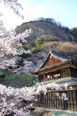 岩殿山丸山公園の桜 山梨県 の情報 ウォーカープラス