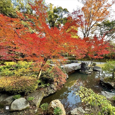 長岡天満宮の紅葉 京都府 の情報 ウォーカープラス