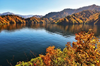 奥只見湖の紅葉 新潟県 の情報 ウォーカープラス