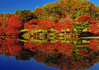 花と歴史の郷 蛇の鼻の紅葉 福島県 の情報 ウォーカープラス