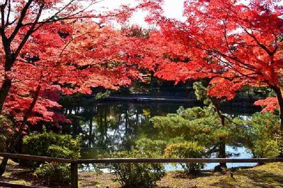 須賀川牡丹園の紅葉 福島県 の情報 ウォーカープラス