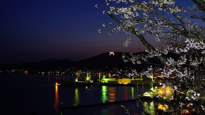 正福寺山公園の桜 広島県 の情報 ウォーカープラス