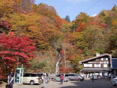 日塩もみじラインの紅葉 栃木県 の情報 ウォーカープラス