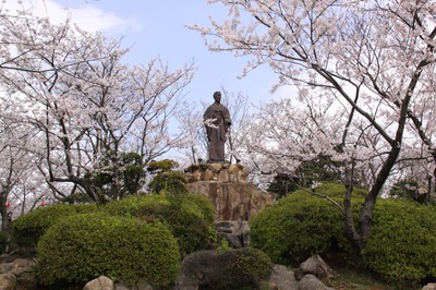 日和山公園の桜 山口県 山口県 の情報 ウォーカープラス