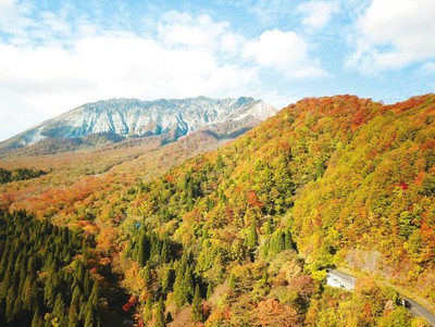 奥大山 鍵掛峠の紅葉 鳥取県 の情報 ウォーカープラス