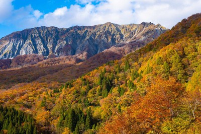 奥大山 鍵掛峠の紅葉 鳥取県 の情報 ウォーカープラス