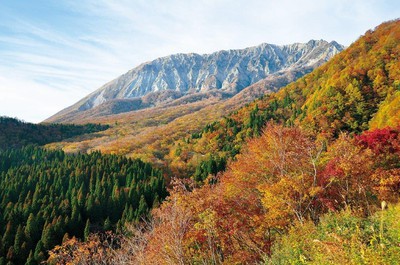 奥大山 鍵掛峠の紅葉 鳥取県 の情報 ウォーカープラス