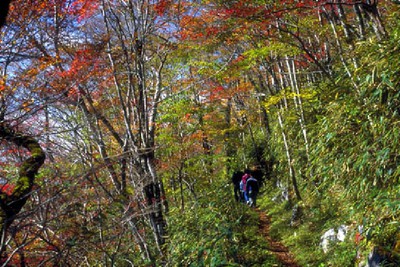 天狗高原の紅葉 高知県 の情報 ウォーカープラス