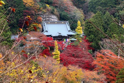 大山寺 大山阿夫利神社下社の紅葉 神奈川県 の情報 ウォーカープラス