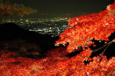 大山寺 大山阿夫利神社下社の紅葉 神奈川県 の情報 ウォーカープラス