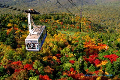 八甲田連峰の紅葉 青森県 の情報 ウォーカープラス