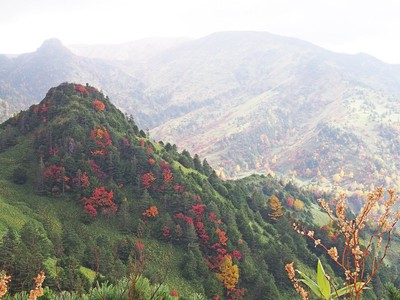 志賀高原の紅葉 長野県 の情報 ウォーカープラス