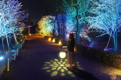 二条城夏まつり21 ネイキッド万華鏡花火 京都府 の情報 ウォーカープラス