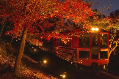 嵯峨野トロッコ列車の紅葉 京都府 の情報 ウォーカープラス