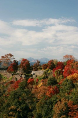 竹田 岡城跡 の紅葉 大分県 の情報 ウォーカープラス