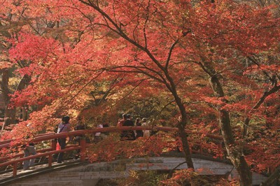 伊香保温泉の紅葉 群馬県 の情報 ウォーカープラス