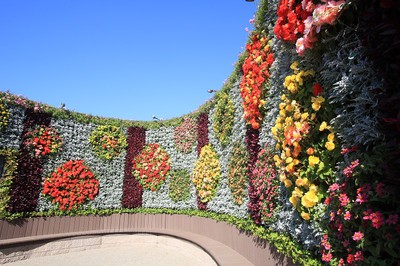 生花が贈るアートの世界 フラワーアートミュージアム In フラワーラグーン 愛知県 の情報 ウォーカープラス