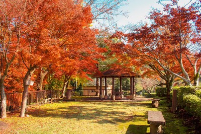 舞鶴 城 公園
