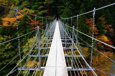 井川湖の紅葉 静岡県 の情報 ウォーカープラス