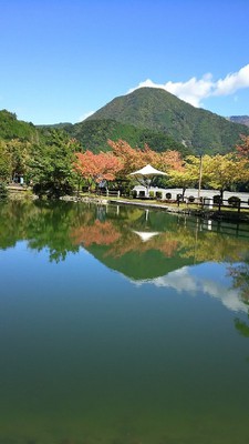 井川湖の紅葉 静岡県 の情報 ウォーカープラス