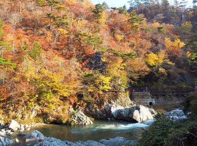 夏井川渓谷の紅葉 福島県 の情報 ウォーカープラス