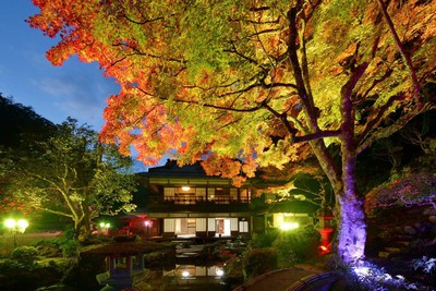 旧堀氏庭園の紅葉 島根県 の情報 ウォーカープラス