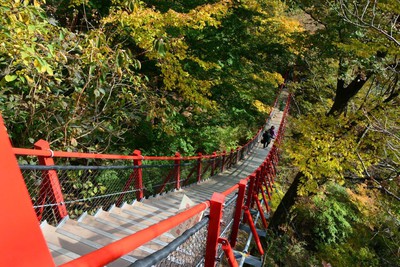 小中大滝 こなかおおたき の紅葉 群馬県 の情報 ウォーカープラス