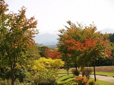 北西の丘展望公園 北海道 の情報 ウォーカープラス