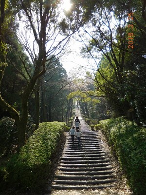 高尾山自然公園 大分県 の情報 ウォーカープラス