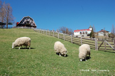 神戸市立六甲山牧場 兵庫県 の情報 ウォーカープラス