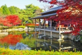 鯖江 西山公園 人気 ベビーカー