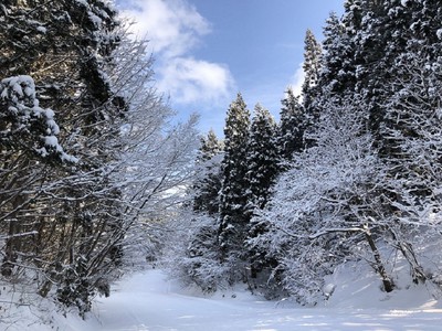 太平山スキー場オーパス 秋田県 の情報 ウォーカープラス