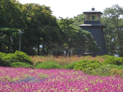 沼田公園 沼田城址 群馬県 の情報 ウォーカープラス