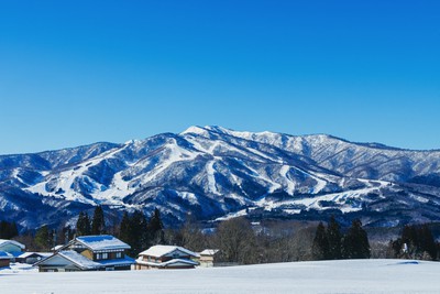 ダイナランド 岐阜県 の情報 ウォーカープラス