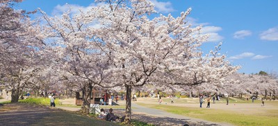 けいはんな記念公園 京都府 の情報 ウォーカープラス