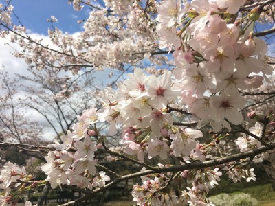 一部休館 大和民俗公園 奈良県 の情報 ウォーカープラス