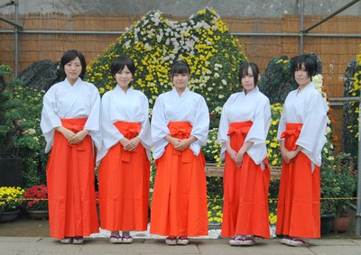 大宝八幡宮 茨城県 の情報 ウォーカープラス