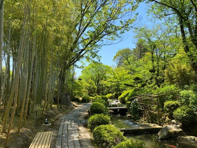 松花堂庭園 美術館 京都府 の情報 ウォーカープラス