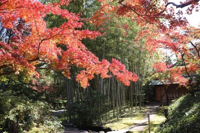 松花堂庭園 美術館 京都府 の情報 ウォーカープラス