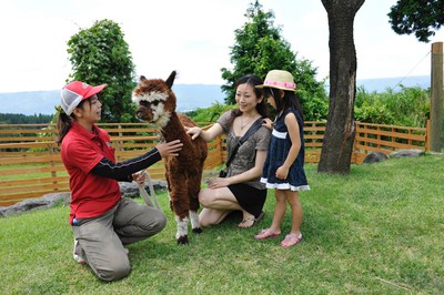 阿蘇カドリー ドミニオン 熊本県 の情報 ウォーカープラス