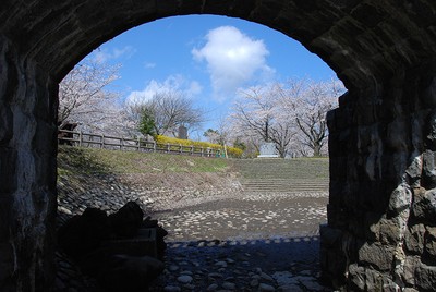 加治川治水記念公園 新潟県 の情報 ウォーカープラス