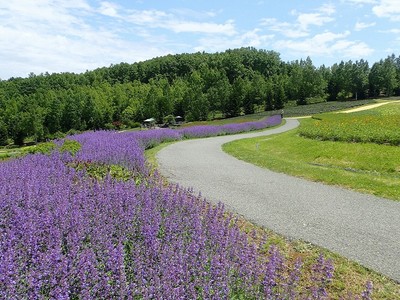 国営滝野すずらん丘陵公園 北海道 の情報 ウォーカープラス