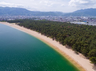 気比の松原海水浴場 福井県 の情報 ウォーカープラス